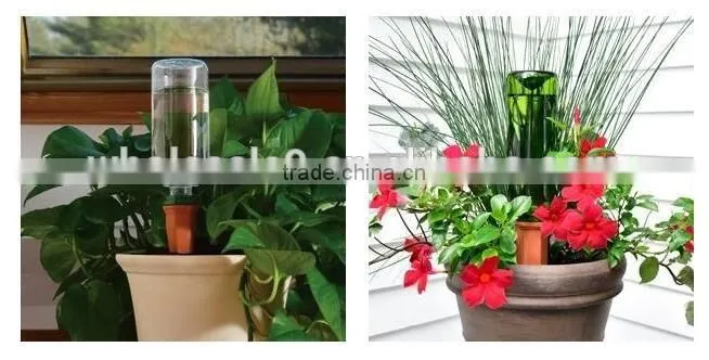Terracotta Plant Watering Count Wine Bottle Stake Set