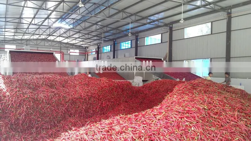 Double Win hot sell turmeric drying machine,continuous belt microwave drying machine,microwave drying sterilization equipment