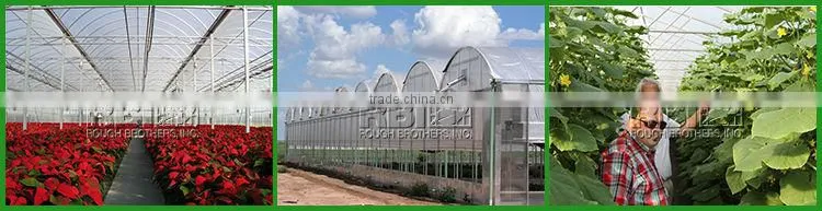 Greenhouse
