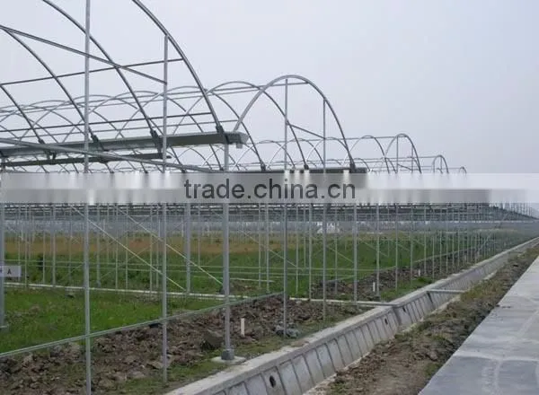 The small sunshine ecological plastic greenhouse