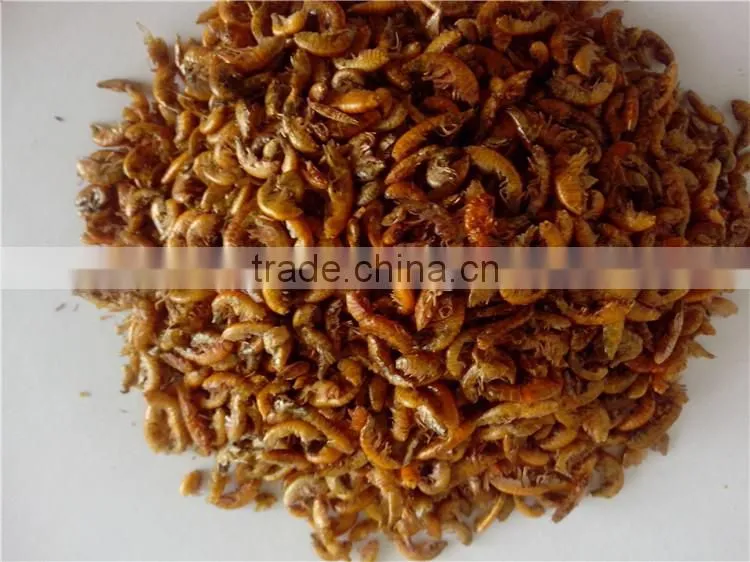 Fish food High Protein freeze 1 cm Dried Gammarus