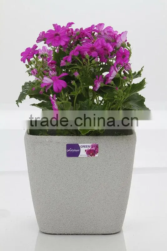 beautiful square plastic frosted flower nursery flower pot