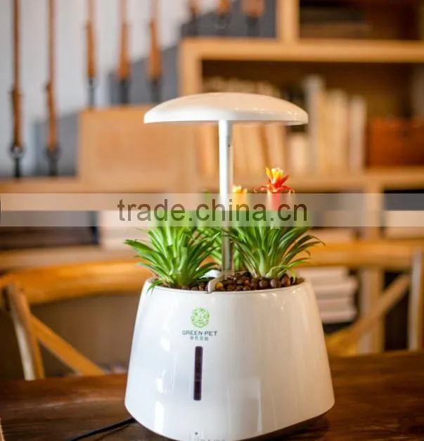 plant growth light