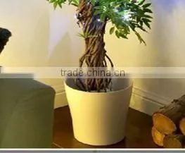 Artificial Japanese Fruticosa Tree indoor plant for home decorated