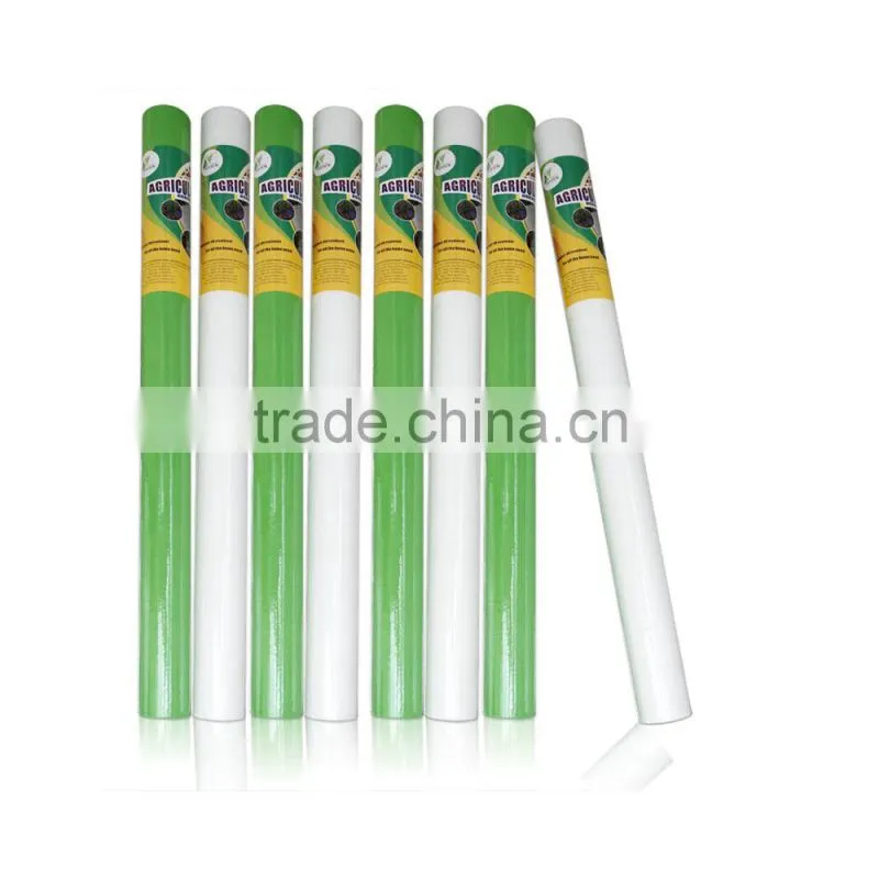 trending hot products ground cover