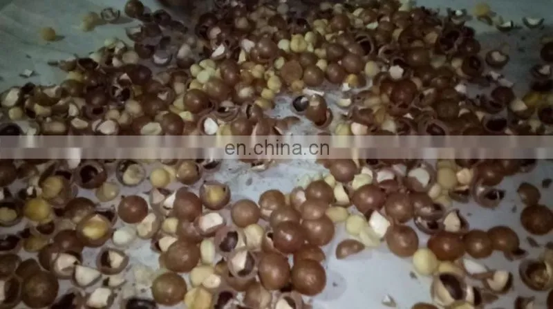professional macadamia nut cracker machine for sale