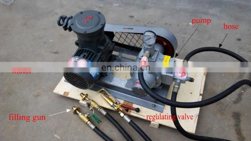 liquid gas transfer pump for lpg filling station, lpg transfer pump, 110v/220v/380v lpg pump,