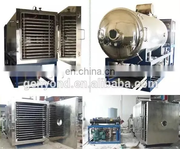 Popular Vacuum Freeze Dryer for milk powder