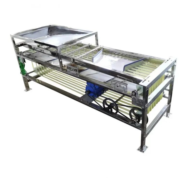 Green Lime Fruit Sorting Grading Machine Sorter Grader Machine Line Classifying Machines