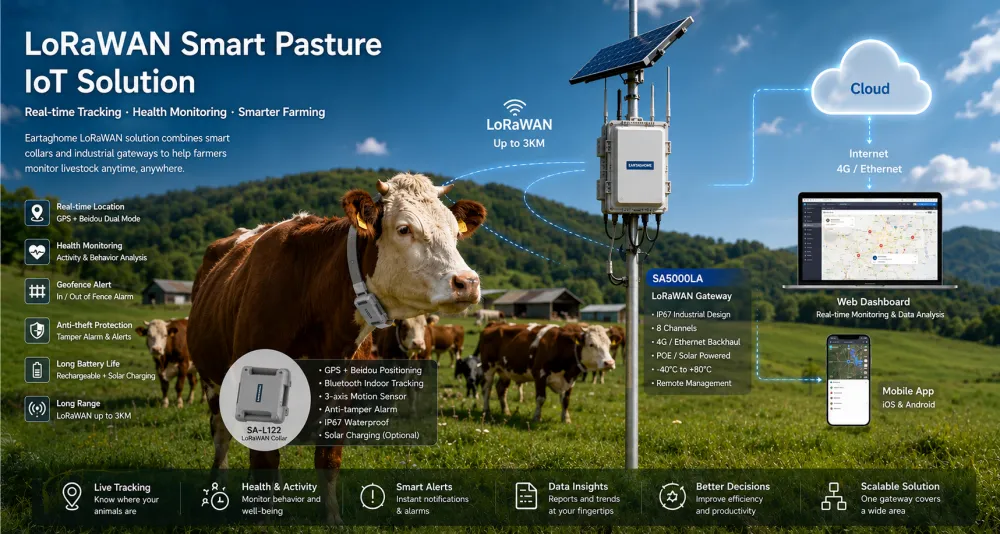 LoraWAN Smart Pasture IoT solution.jpg.webp