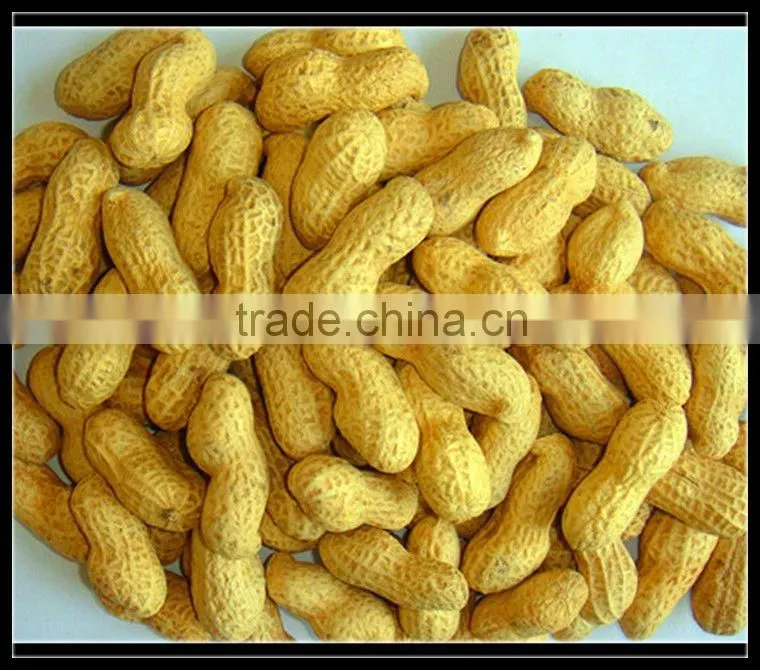 Best Price Raw Peanuts in Shell
