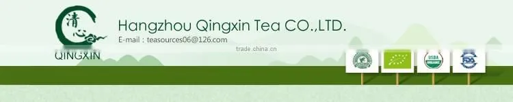 Best choice Organic Maojian tea Newly Green Tea