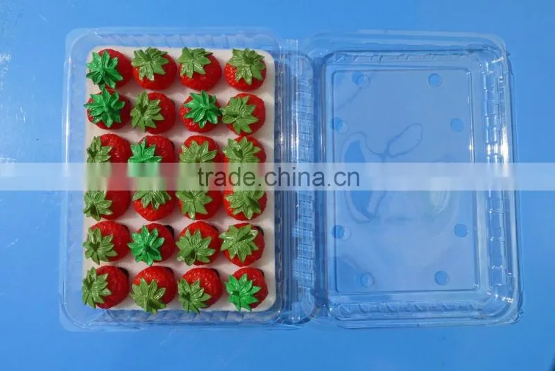 Punnet Clamshell Blister Plastic packaging container 500 gram