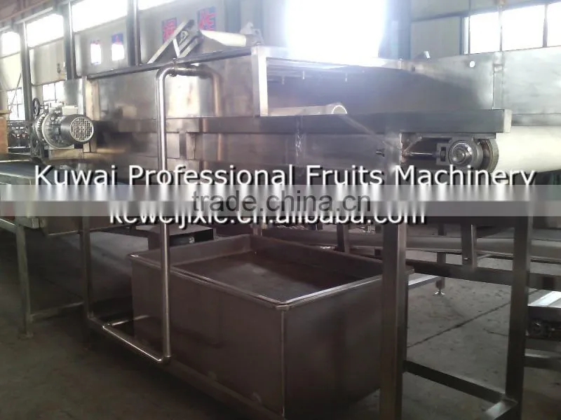 1 ton YXJ-1 Model high pressure spraying cleaner(Industrial fruits washer)