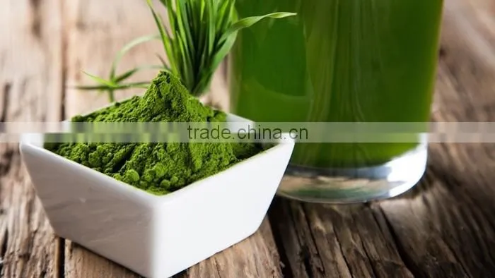 Spirulina tablets dietary supplement