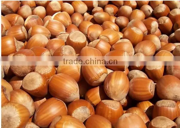Hot sale hazenut harvester machine with good quality