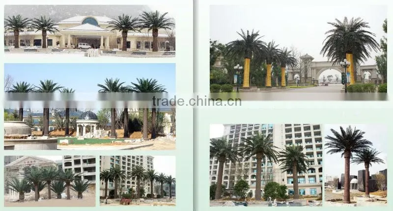 Artificial Canary date palm Tree