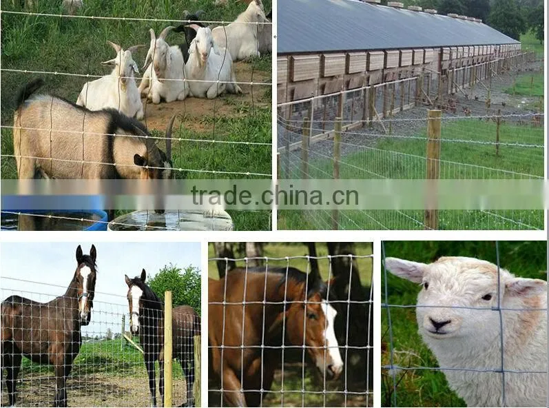 Anping hot sale cheap cattle rail fence