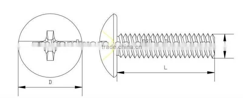 Philips and slot truss head binding screws