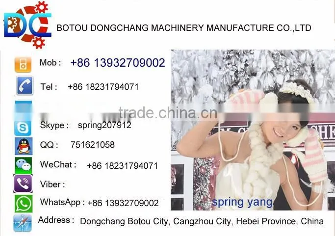 Dongchang OEM/ODM /OBM golden manufacture roll forming machines