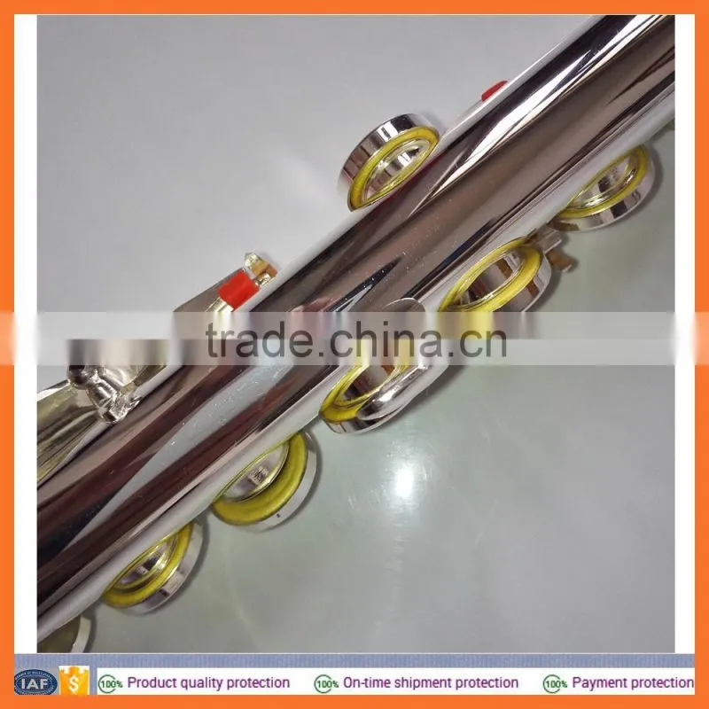 cheap flute for students