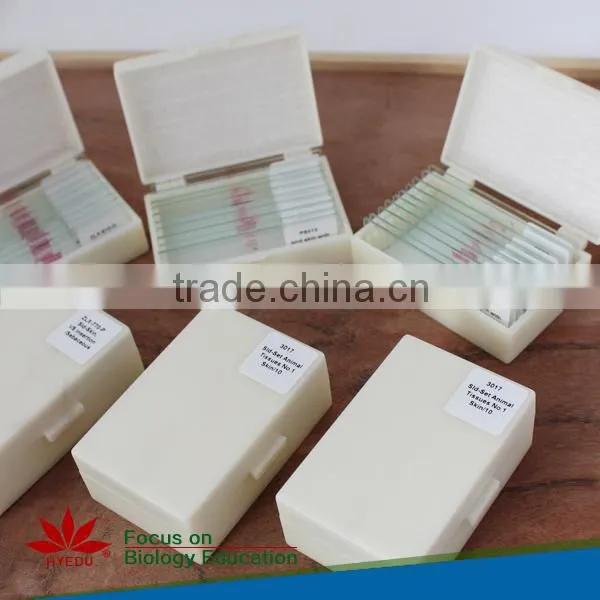 Hot Sale 50pcs Student Mixed Microscope Prepared Slides set