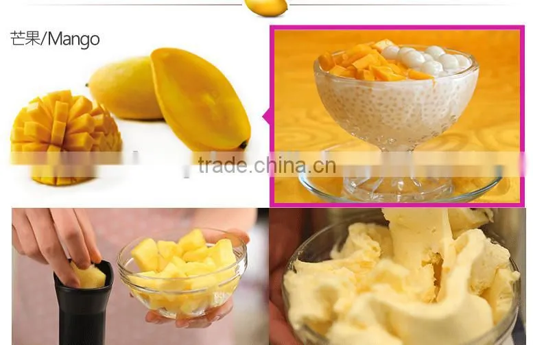 mini ice cream maker for home use