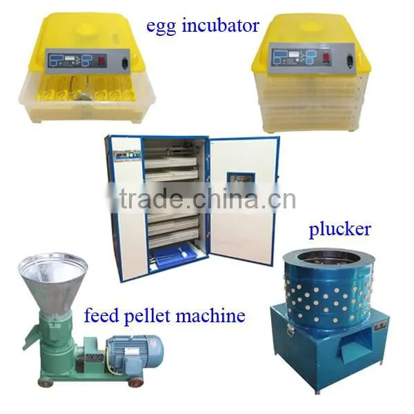 automatic chicken plasson drinker and feeder with best price and high quality