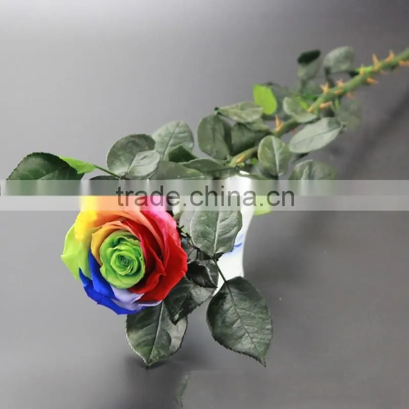 2016 Yiwu Aimee wholesale dubai importers hotsale preserved fresh flower(AM-PF03)
