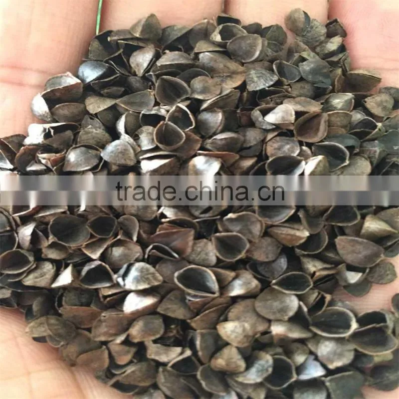 good and bulk BucKwheat Hulls