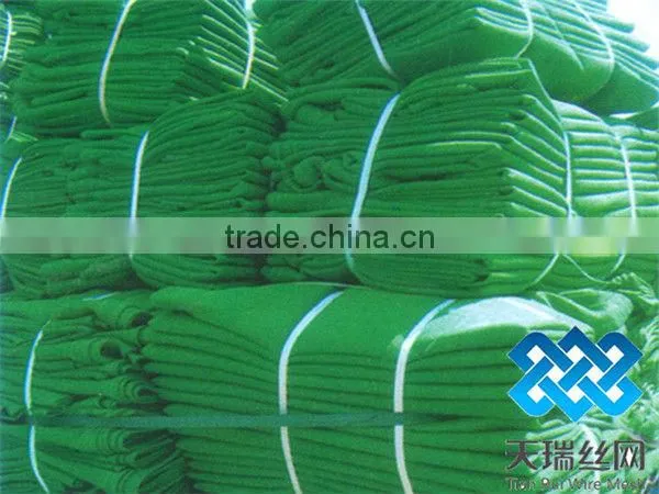 Scaffold Netting /Scaffolding Net/scaffolding safety nets
