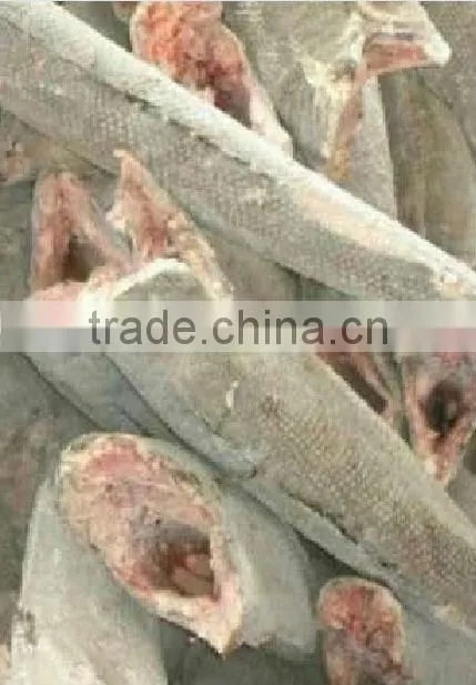 fish maw frozen oil fish