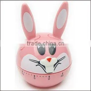 Fruit of Strawberry Kitchen Timer