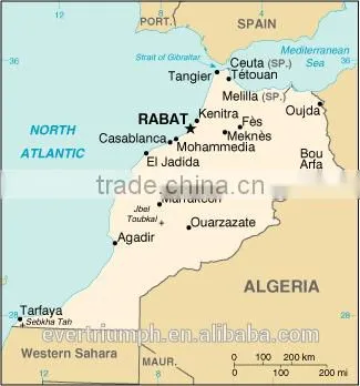 20/40ft container shipping from China to Morocco