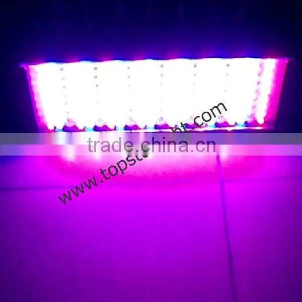 best price198pcs RGB LED strobe light for sale
