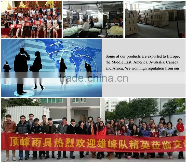 Promotional fashion crafts/folding/gift umbrella