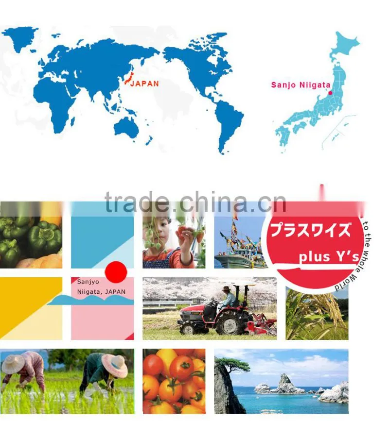 Durable corn soybean planting machine Made in Japan