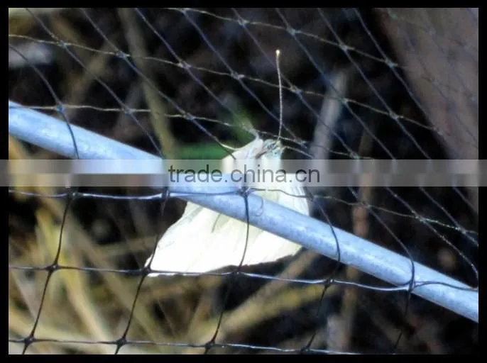Economy Anti-bird Nets For Crop Protection