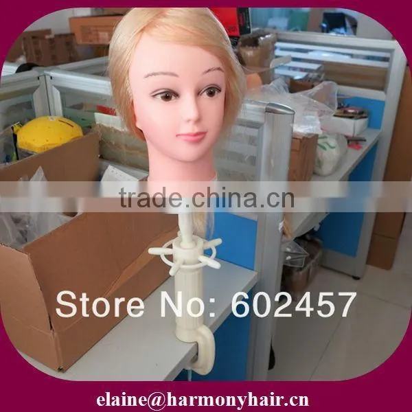 STOCK training head holder