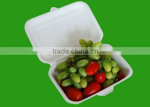 FDA biodegradable eco-friendly disposable natural fiber food container