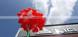 Kara Marketing (m) Sdn. Bhd. company overview - view 1