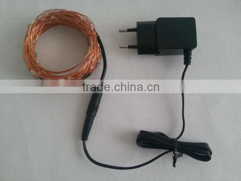 6M LED rice lights with 4 customerized plug adapter