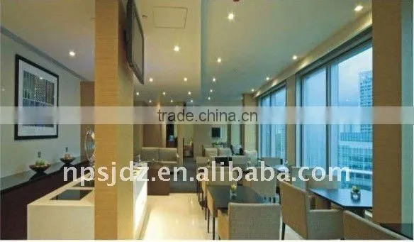 LED Down Light