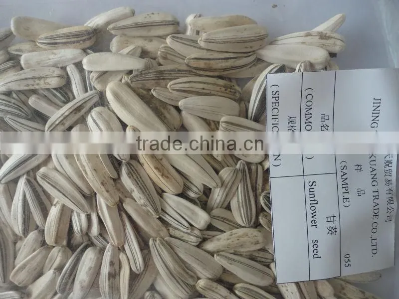 new crop sunflower seeds