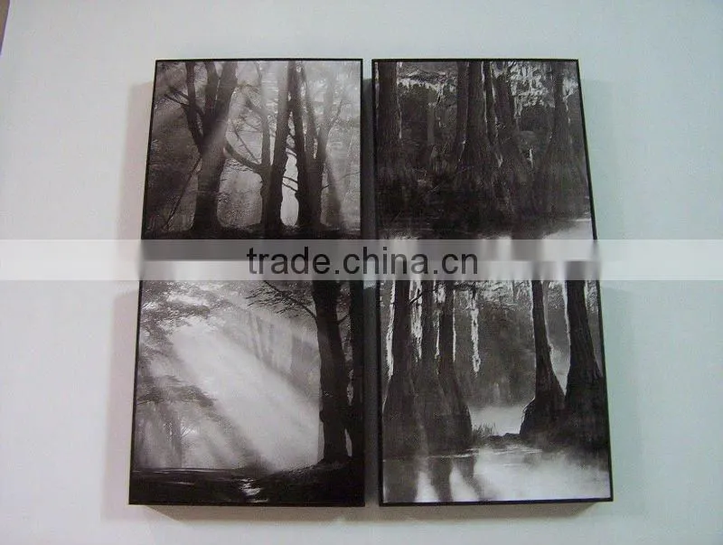 widen group canvas art