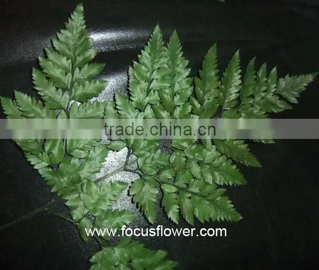 Home Decor Fresh Leather Leaves Fern For Wedding Leather Process Plant Fern