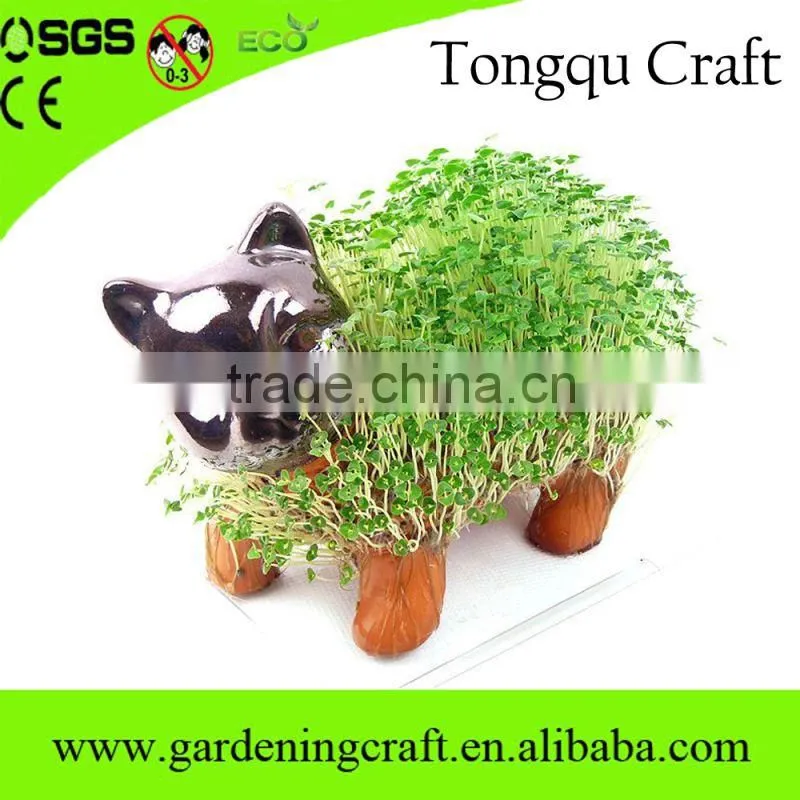 pormo gifts usb chia pet gifts for newly married couple wedding thank you gifts for guests