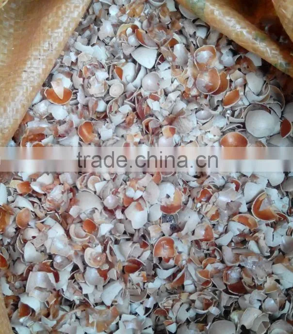 100kg/h gingko peeling shelling equipment in 2015