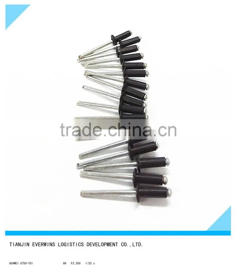 Black color Blind rivet