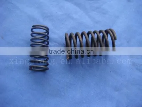 Hot Sale Single CylinderEngine Spare Parts S1110 Valve Spring